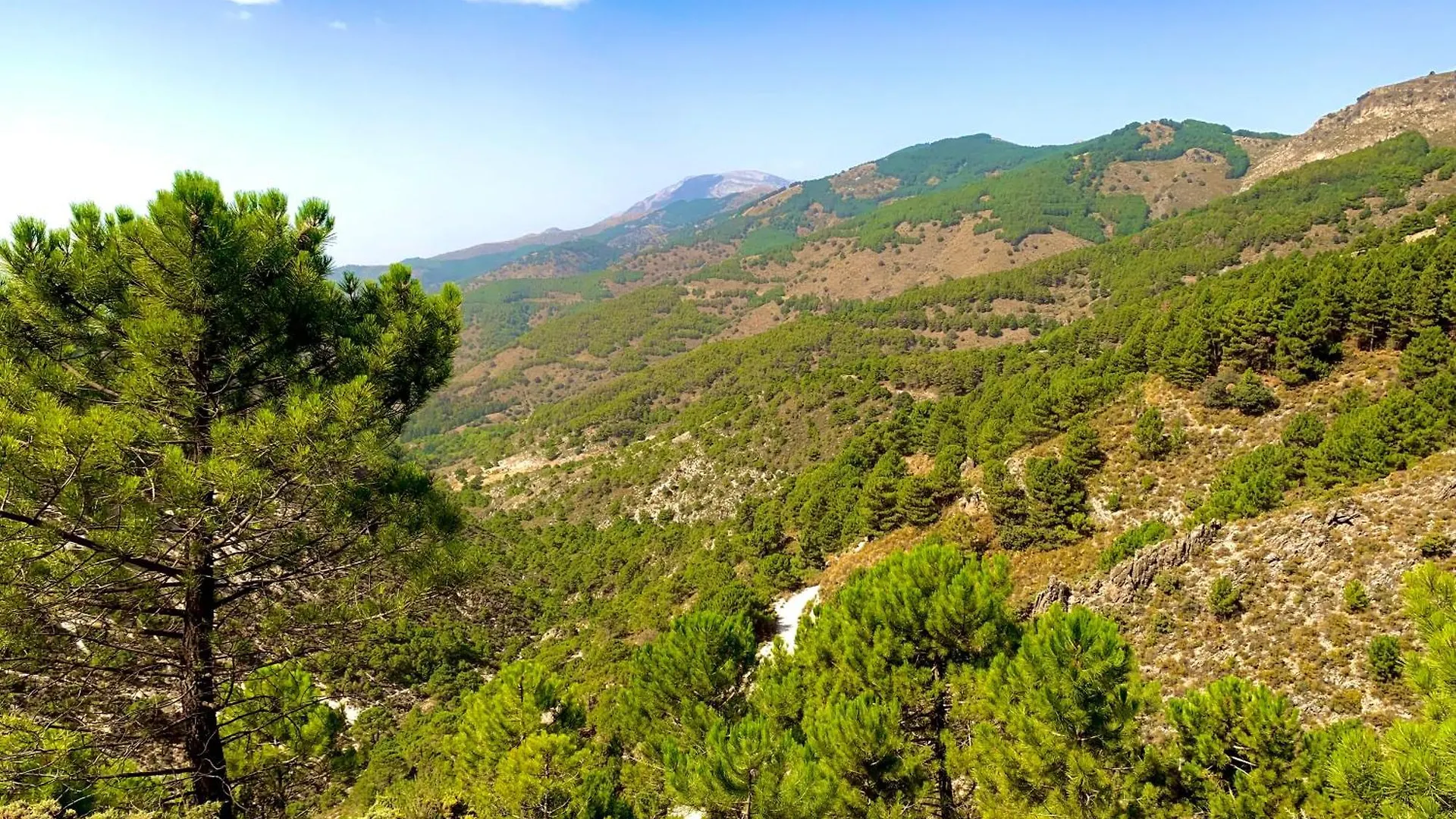 Finca El Almendro Málaga Spanien